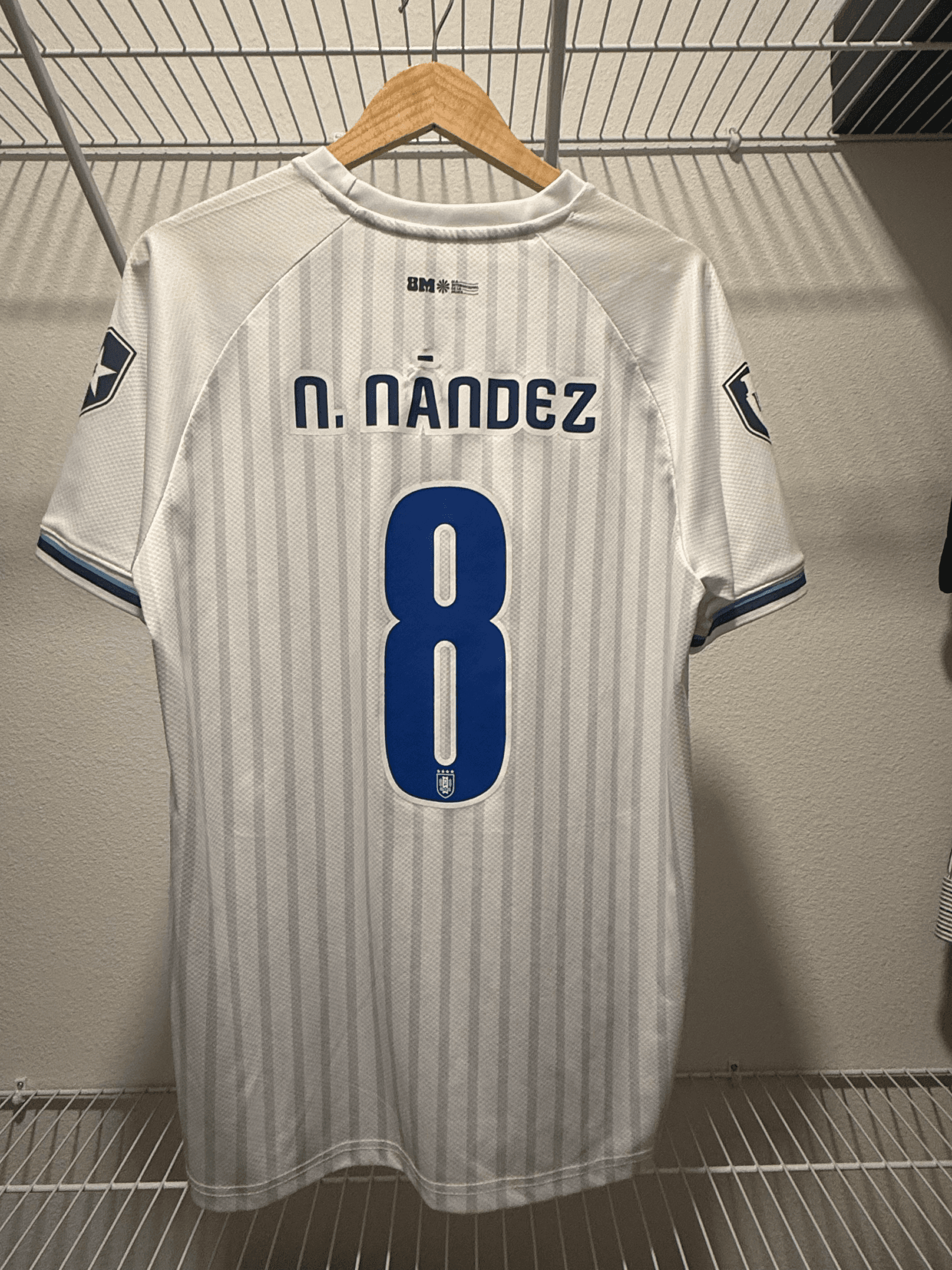 Uruguay 2024/25 home shirt held by @mgrauer02_f5bf2, back print